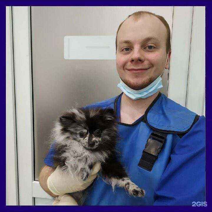 Отзывы на компанию VegaPetShop в Новосибирске c фото