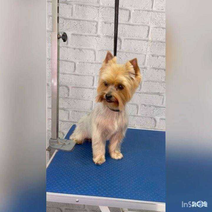 Отзывы на компанию Василек в г. Дзержинск c фото