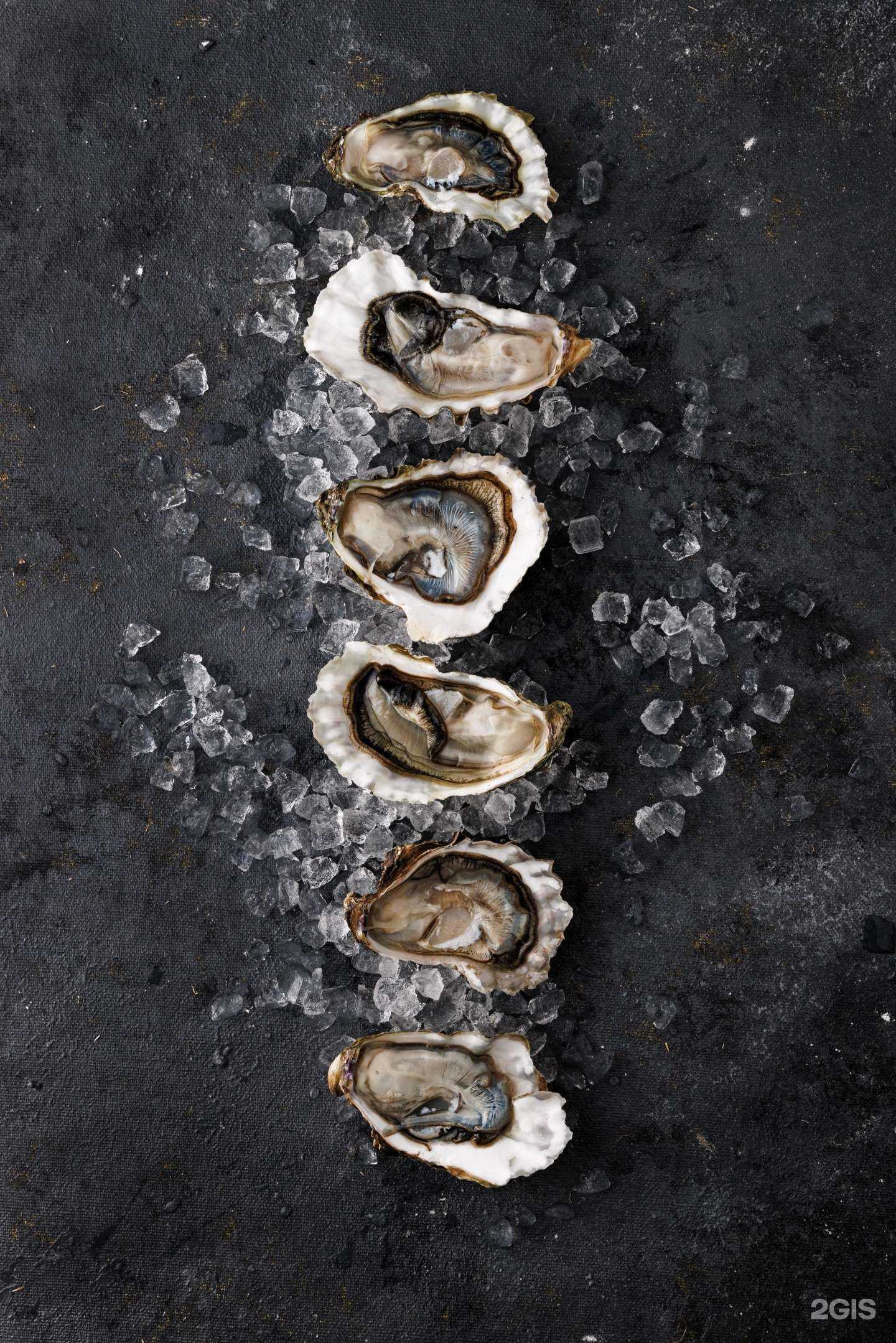 Отзывы на компанию Мидийное место в Ростове-на-Дону c фото