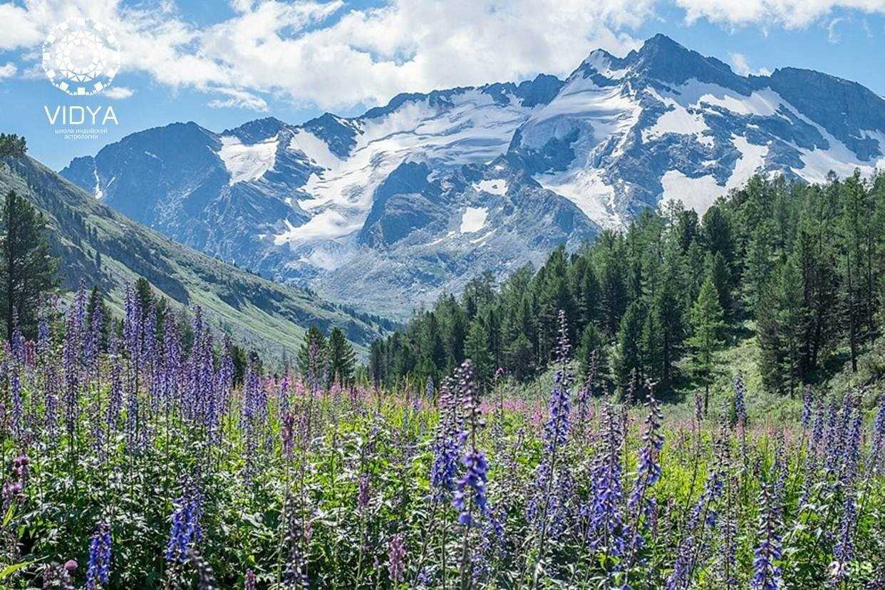 Отзывы на компанию Vidya в Новосибирске c фото