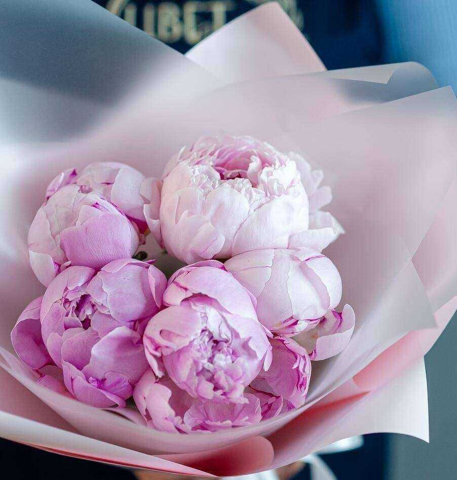 Отзывы на компанию ЦветНик в Рязани c фото