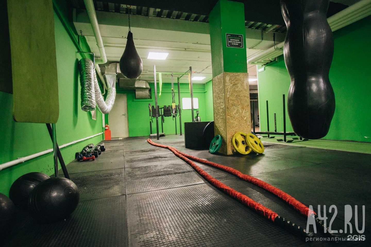 Отзывы на компанию Green gorillaz в г. Кемерово c фото