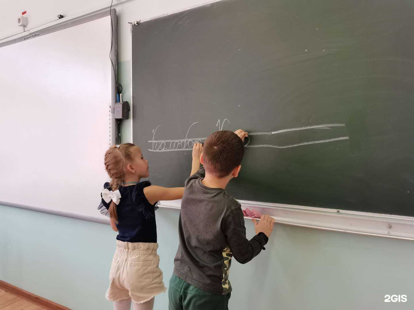 Отзывы на компанию Умный кот в Владивостоке c фото