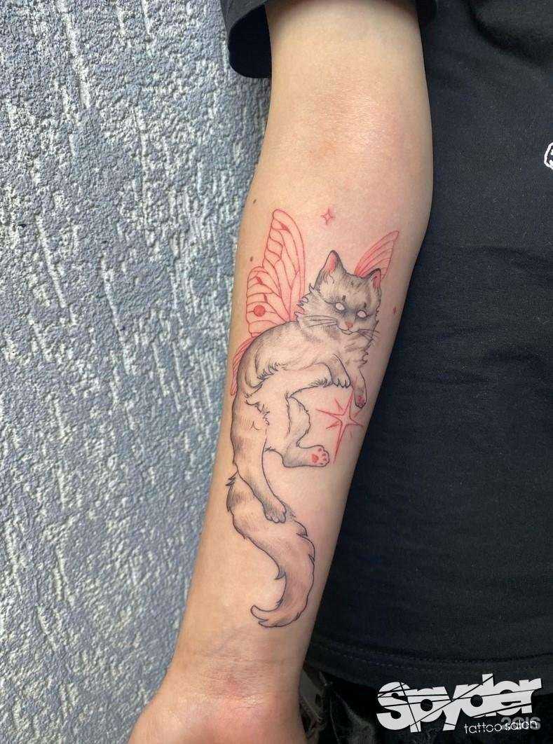 Отзывы на компанию Spyder в г. Пермь c фото