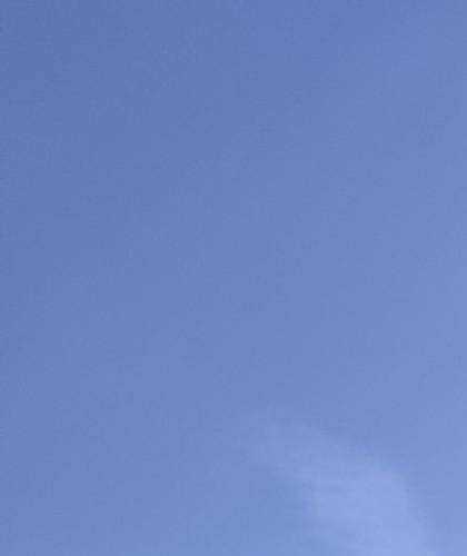 Отзывы на компанию Вива в Рязани c фото