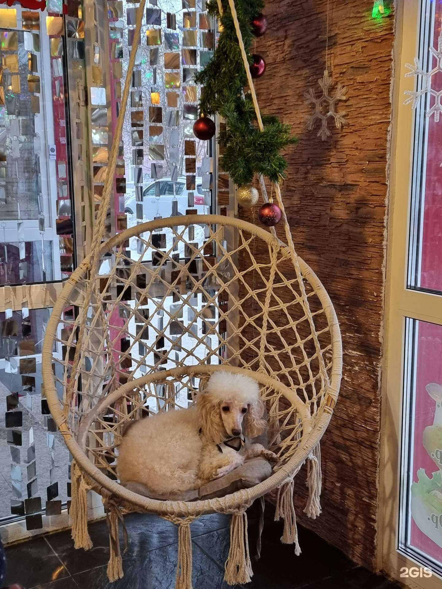 Отзывы на компанию РоллБери в г. Богданович c фото