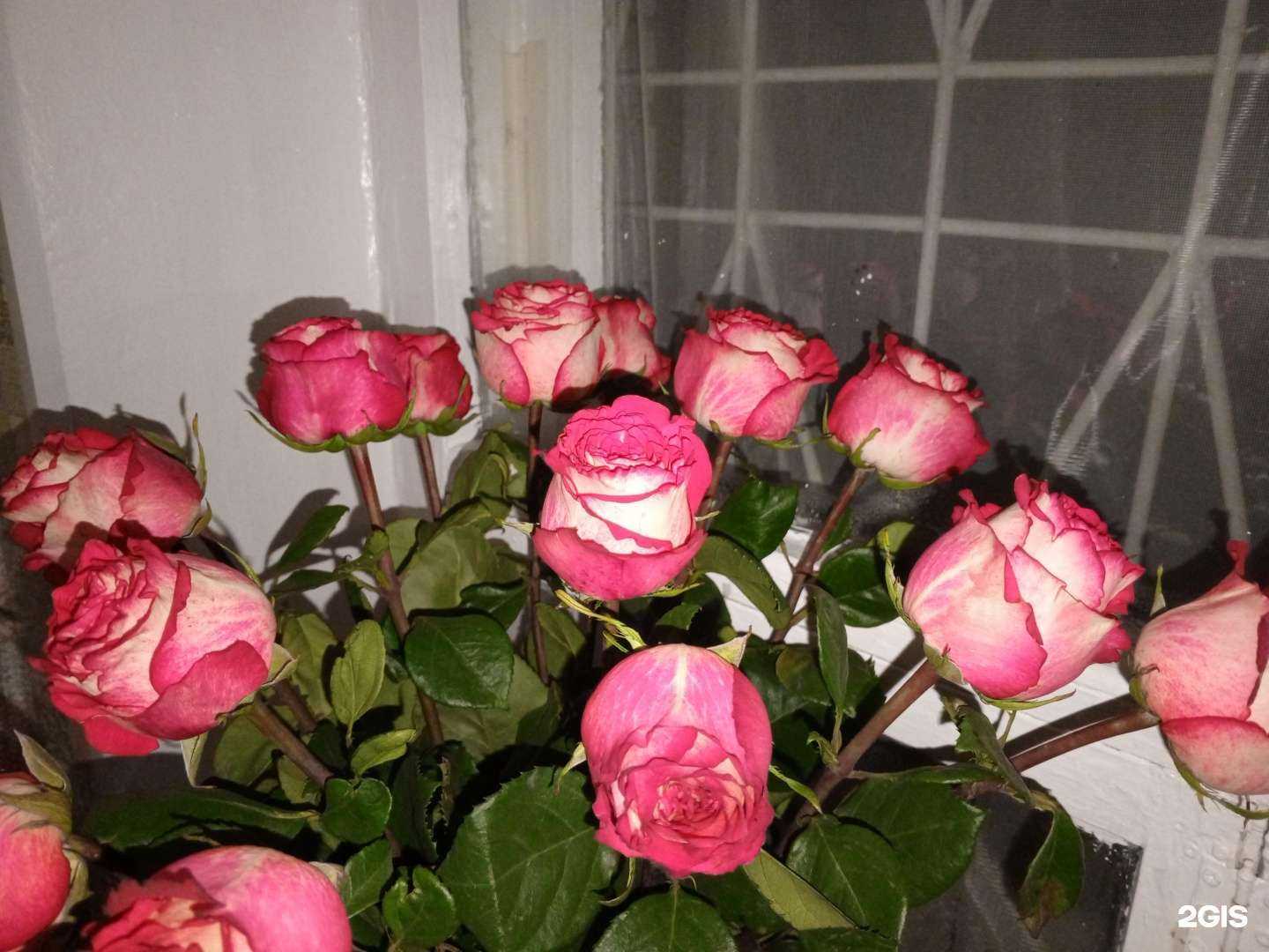 Отзывы на компанию Цветы & подарки в г. Смоленск c фото