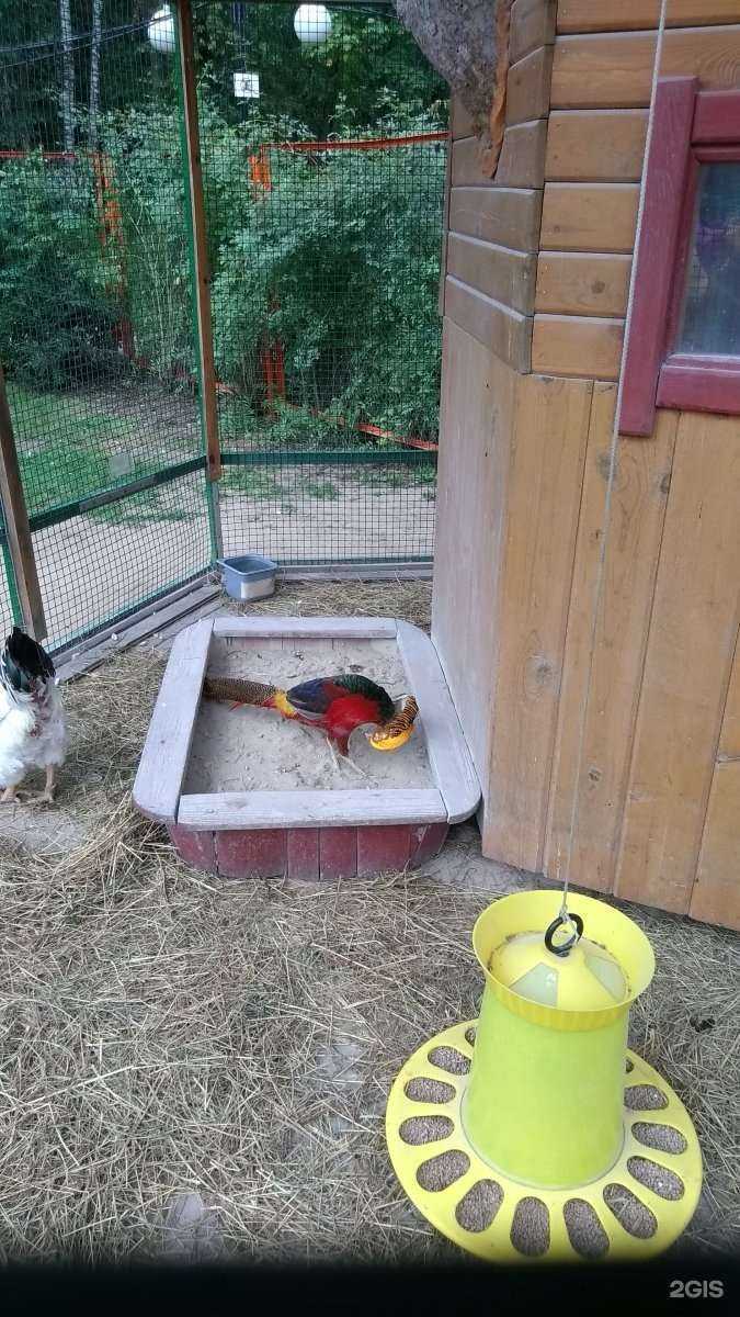 Отзывы на компанию Аттра-град в г. Люберцы c фото