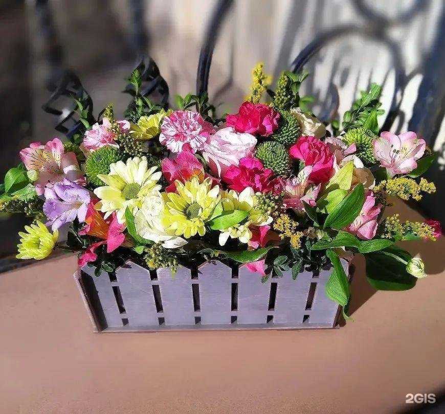 Отзывы на компанию Элина в Волгограде c фото