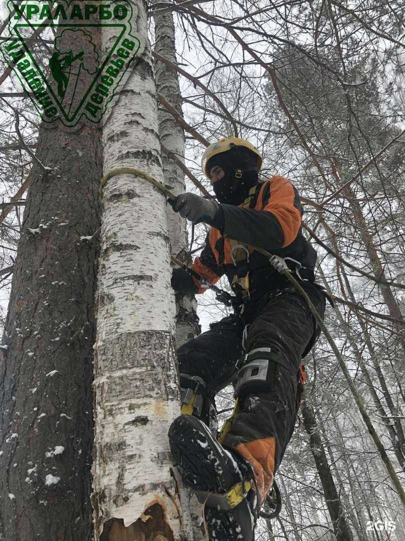 Отзывы на компанию УралАрбо в г. Миасс c фото