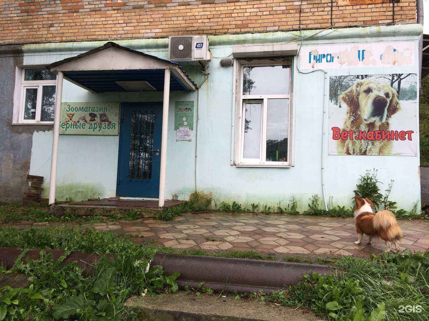 Отзывы на компанию Верные друзья в Находке c фото