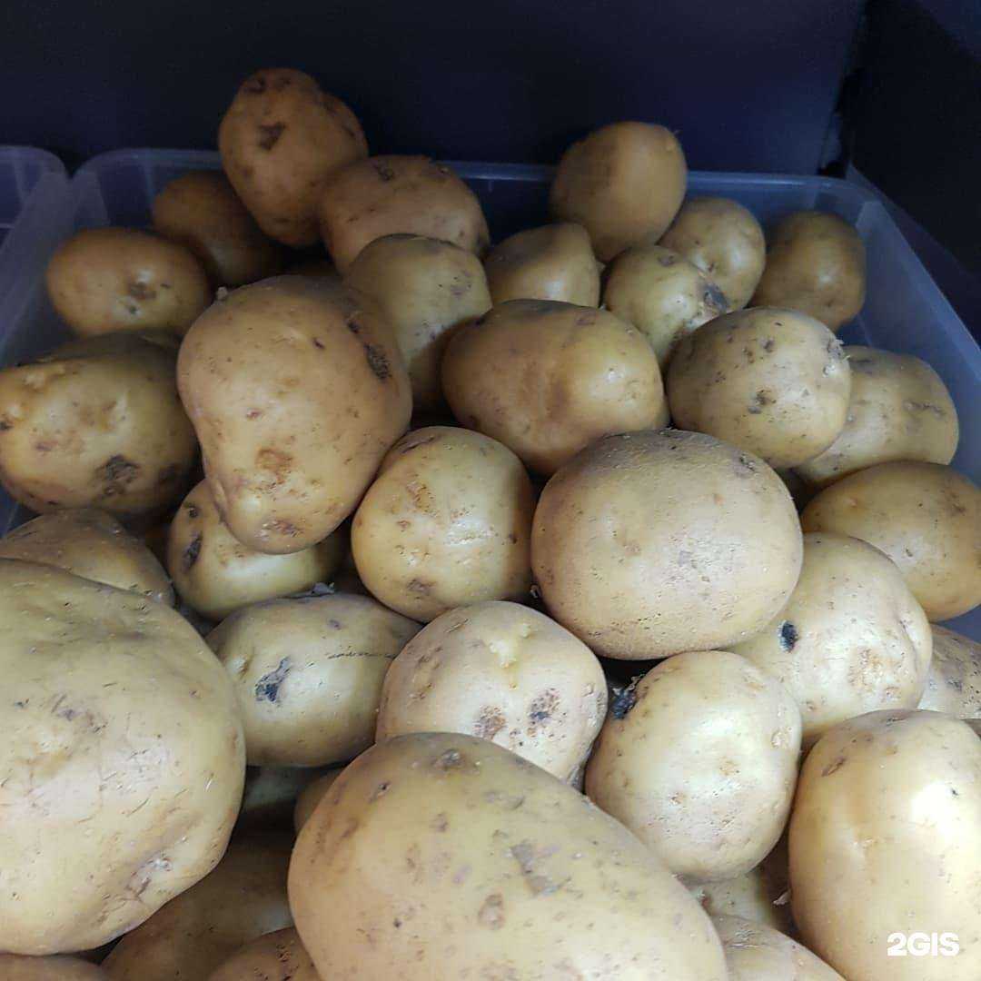 Отзывы на компанию Ассорти в Краснодаре c фото