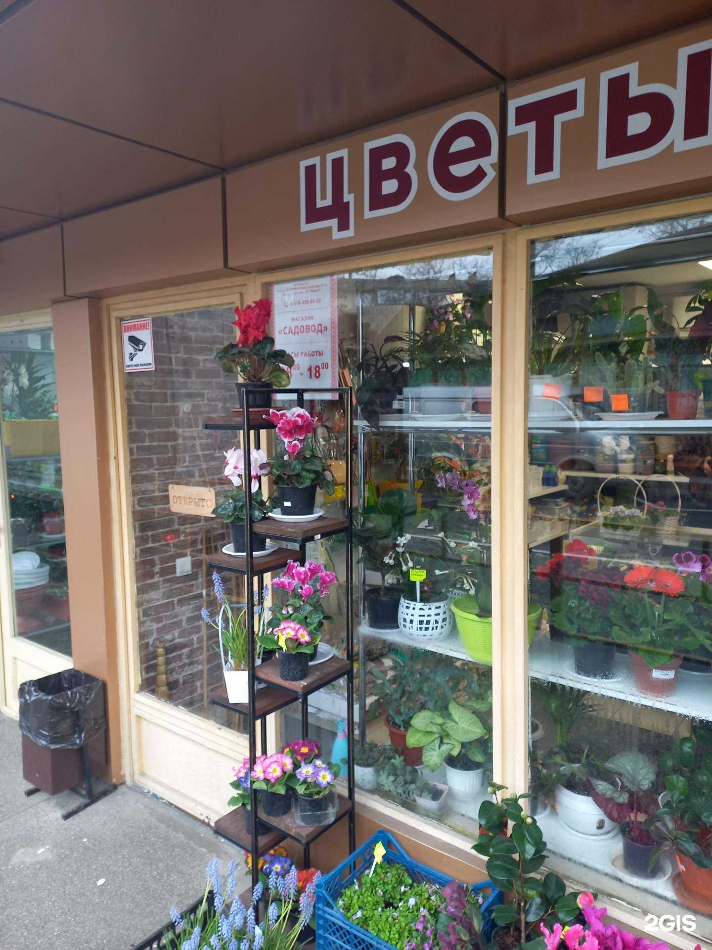 Отзывы на компанию Цветочный магазин в Сочи c фото