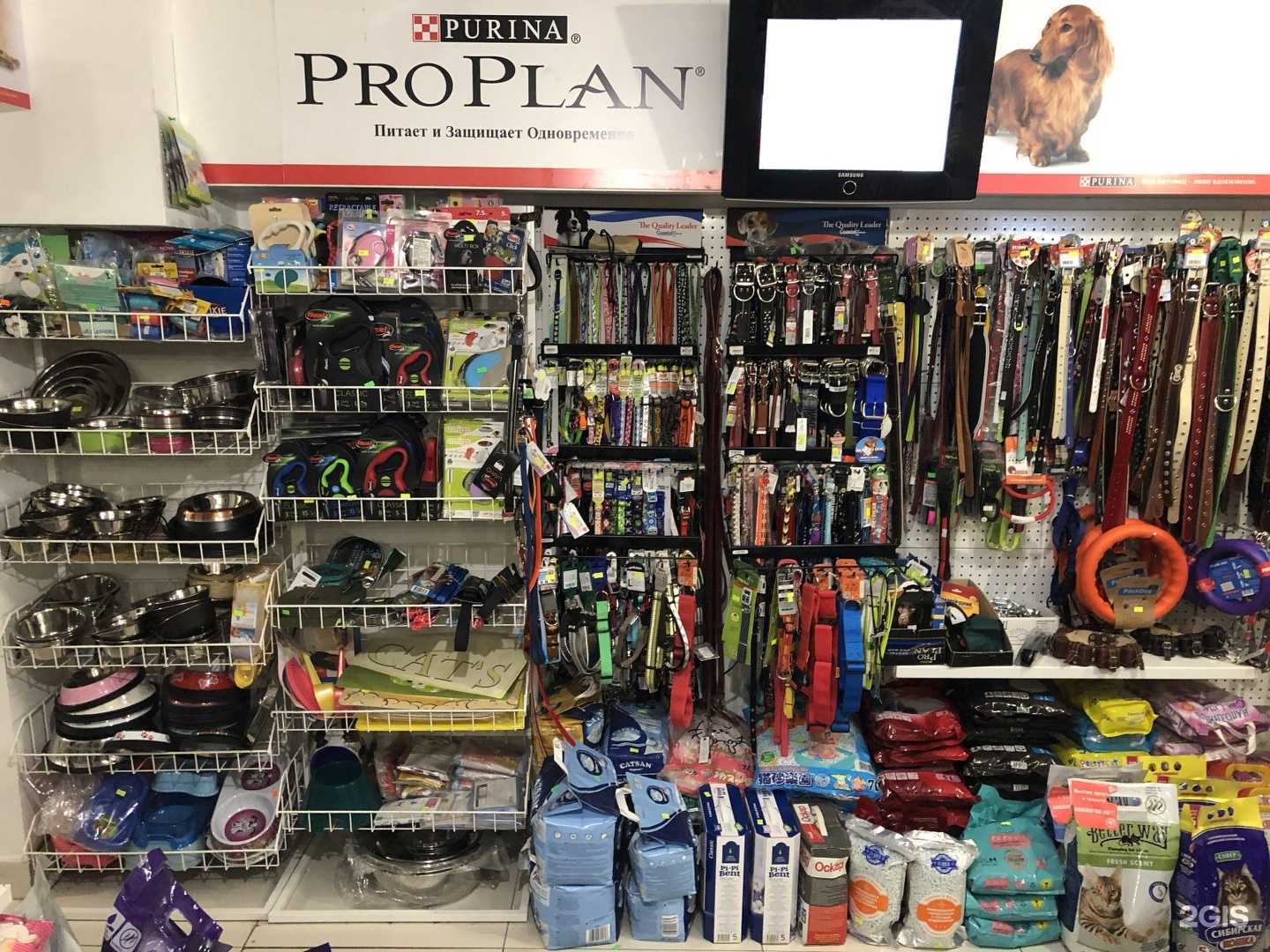 Отзывы на компанию Кот и Пес в Тюмени c фото