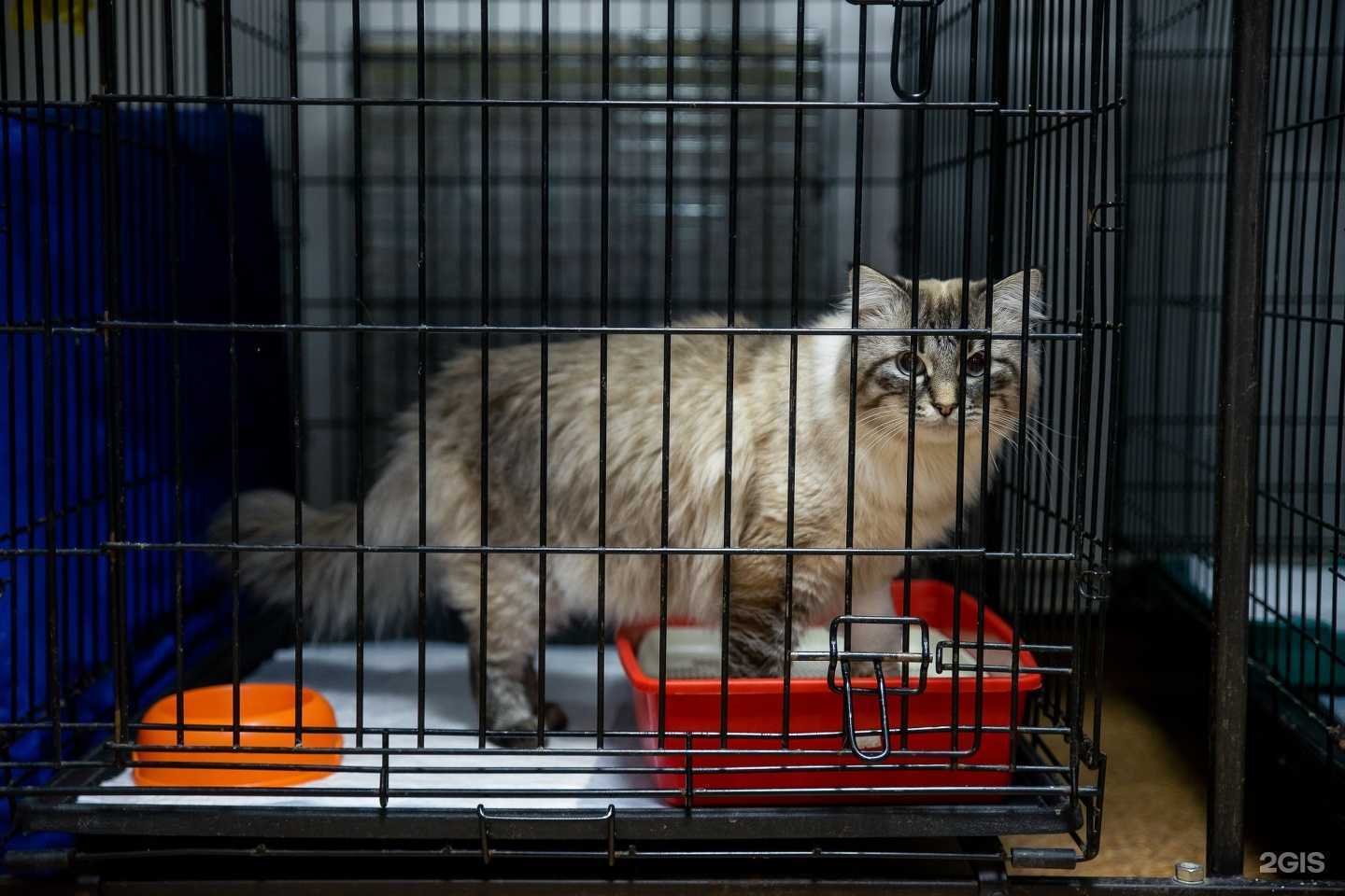 Отзывы на компанию Созвездие в Ярославле c фото