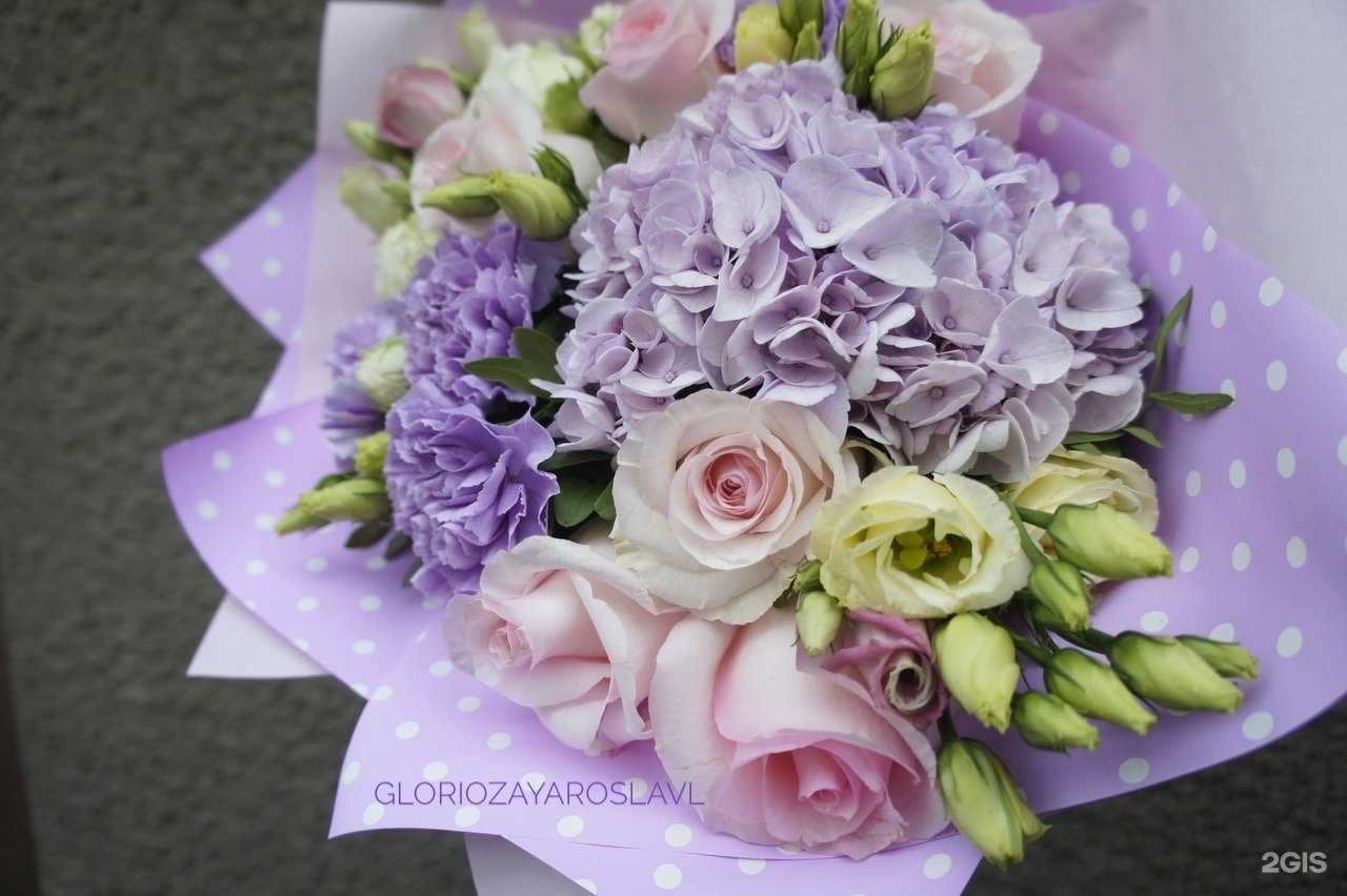 Отзывы на компанию Глориоза в Ярославле c фото