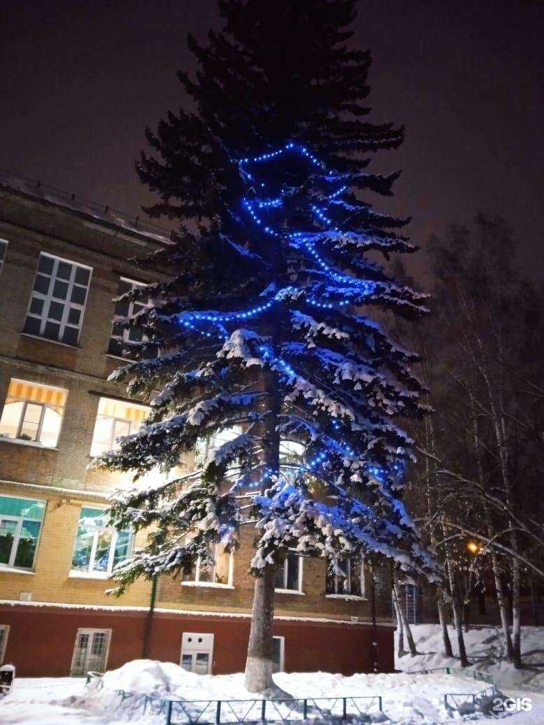 Отзывы на компанию Средняя школа №169 в Новосибирске c фото