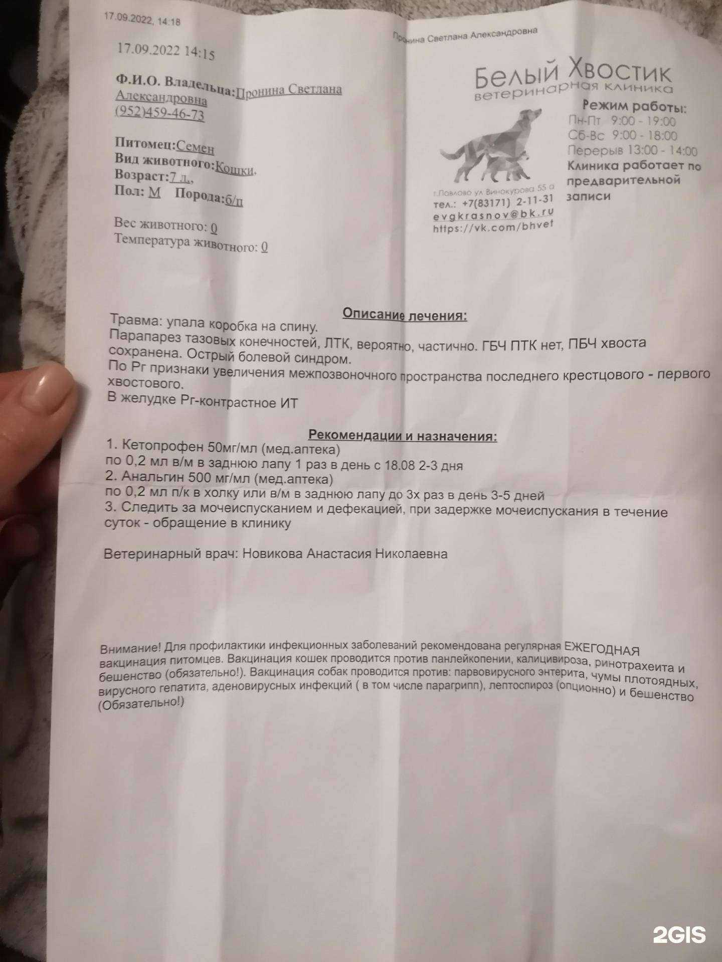 Отзывы на компанию Белый хвостик в Павлове c фото