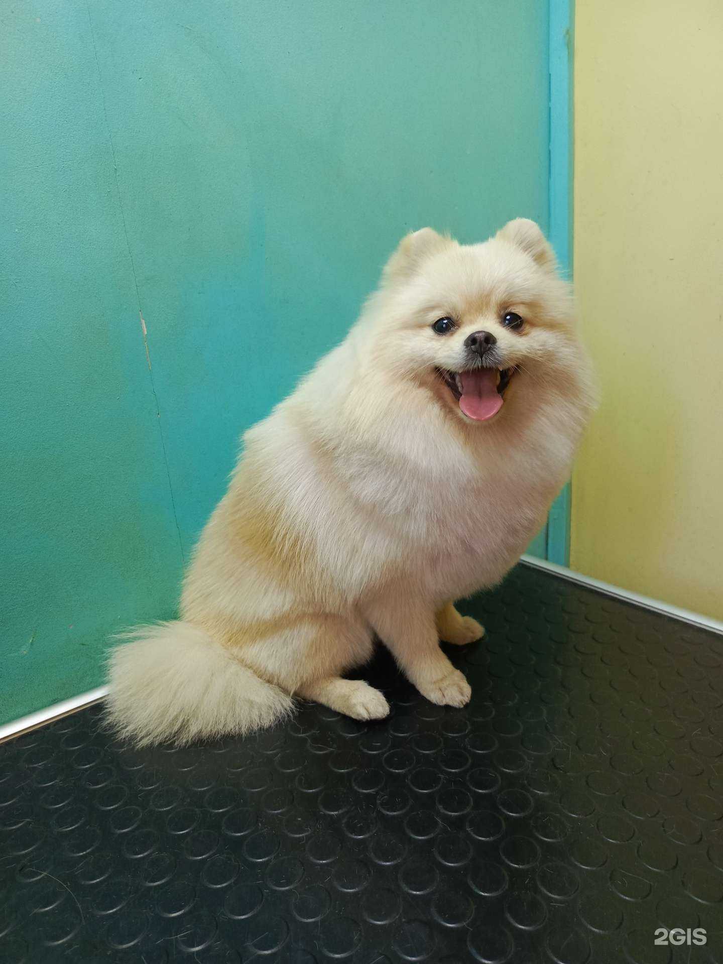 Отзывы на компанию Эндорфингрум в г. Челябинск c фото