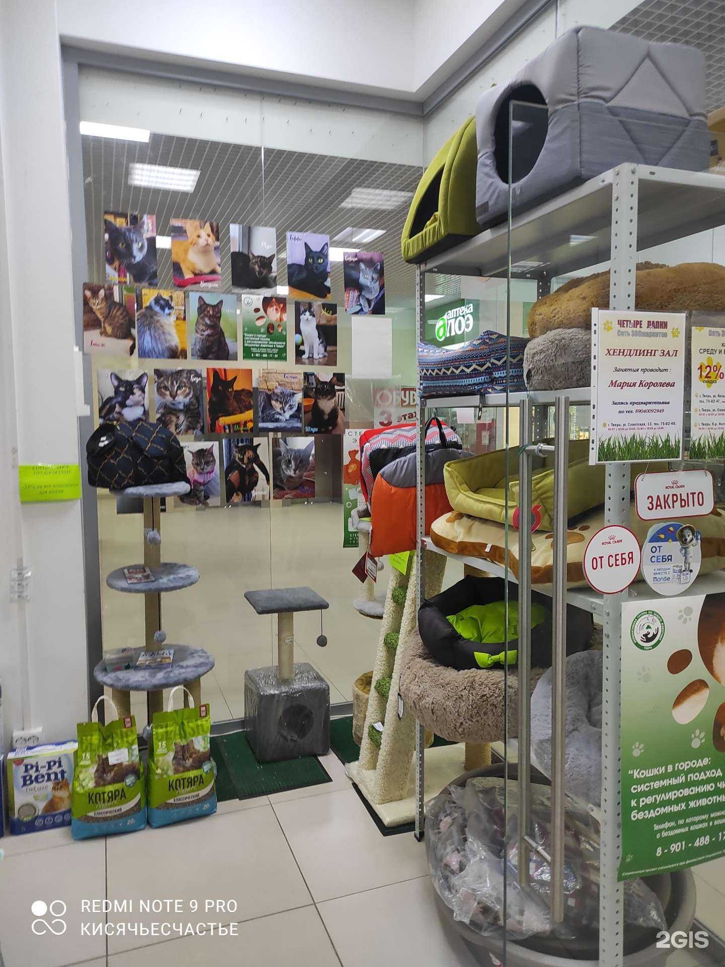 Отзывы на компанию Любимые Лапки в Твери c фото