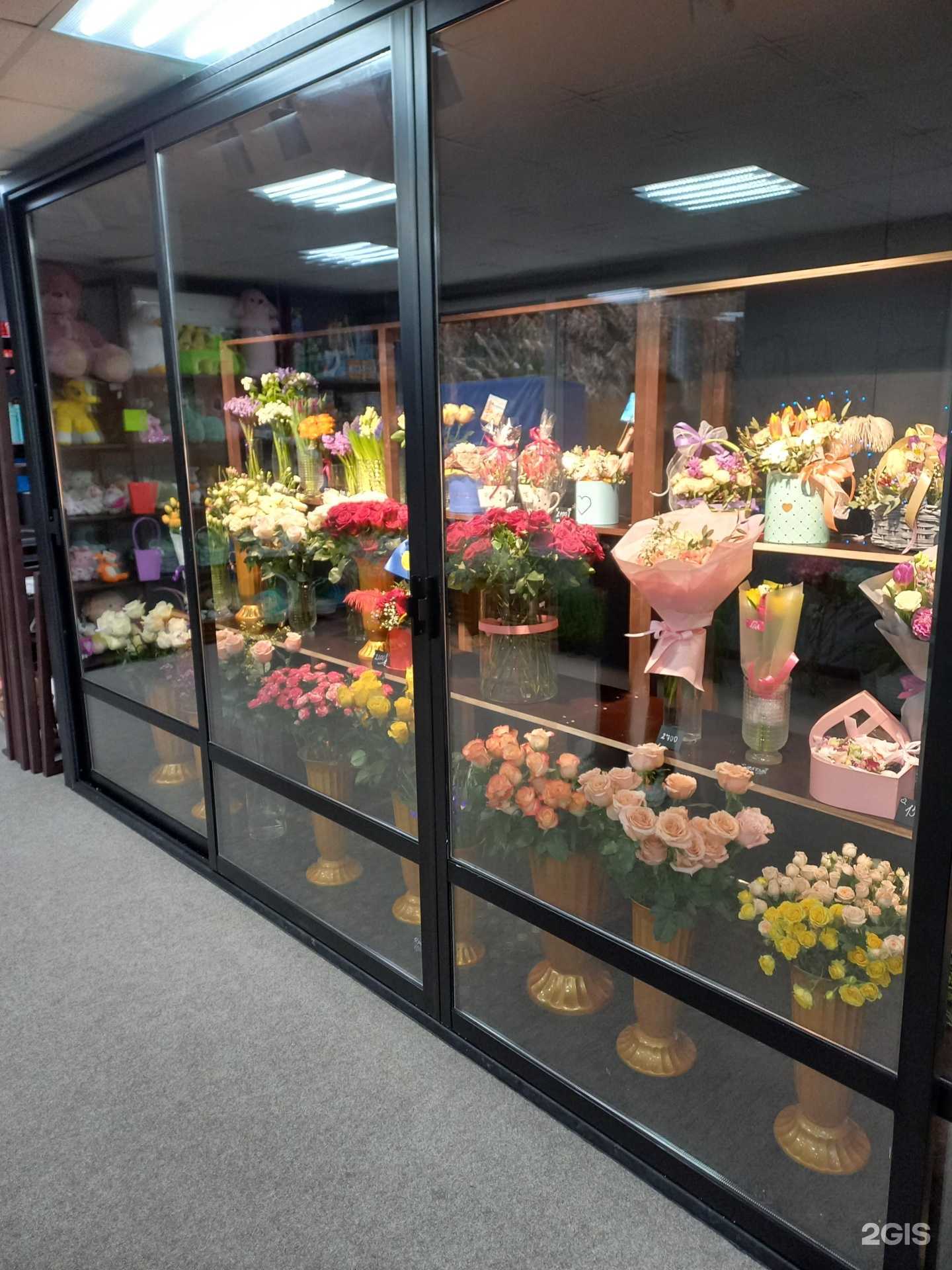 Отзывы на компанию Фрезия в Сочи c фото