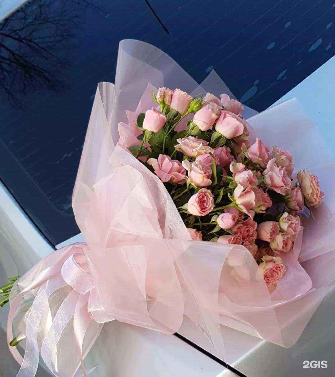 Отзывы на компанию Цвети и Процветай в Краснодаре c фото