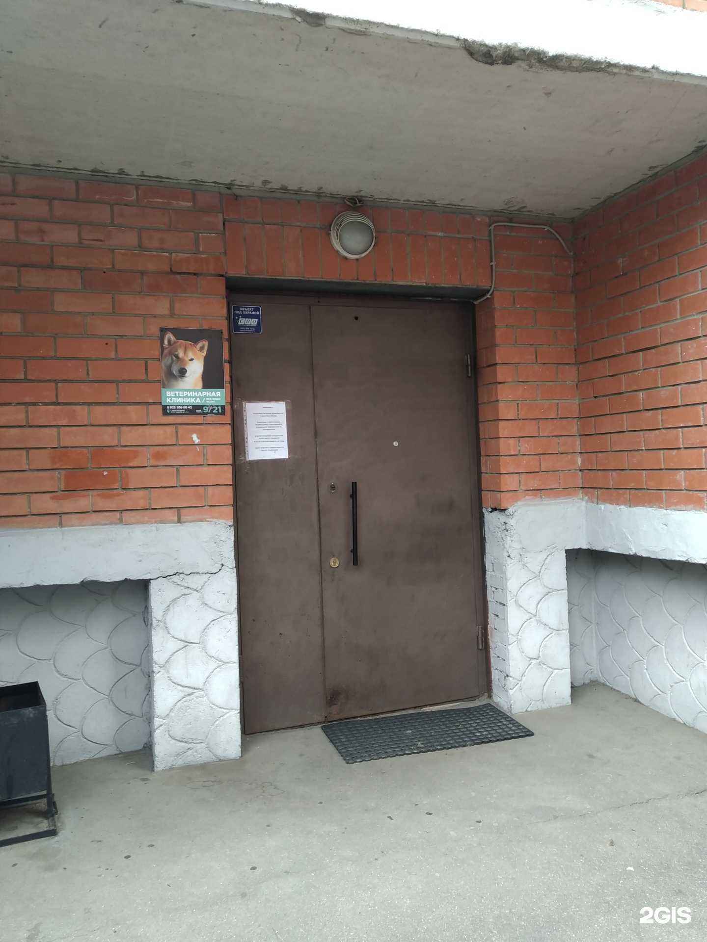 Отзывы на компанию Грумер рядом в Долгопрудном c фото