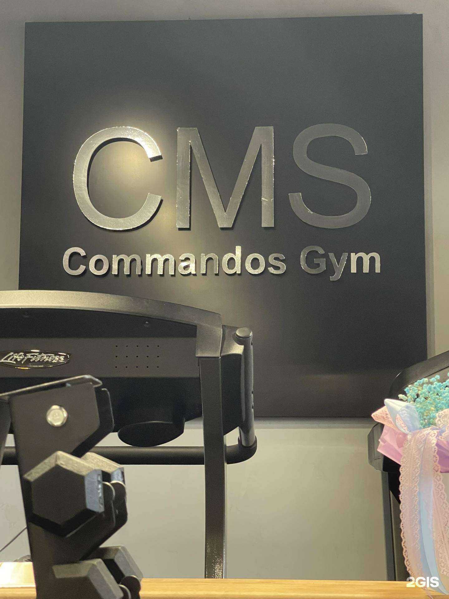 Отзывы на компанию CMS в г. Кызыл c фото