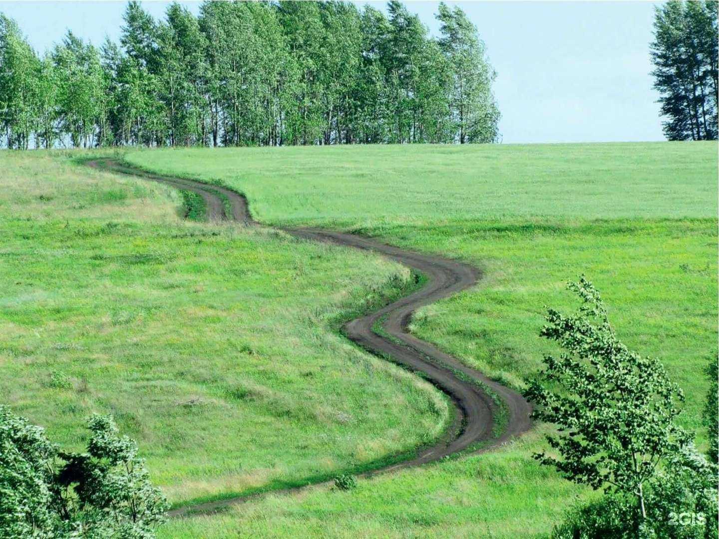 Отзывы на компанию Фитоцентр в Воронеже c фото