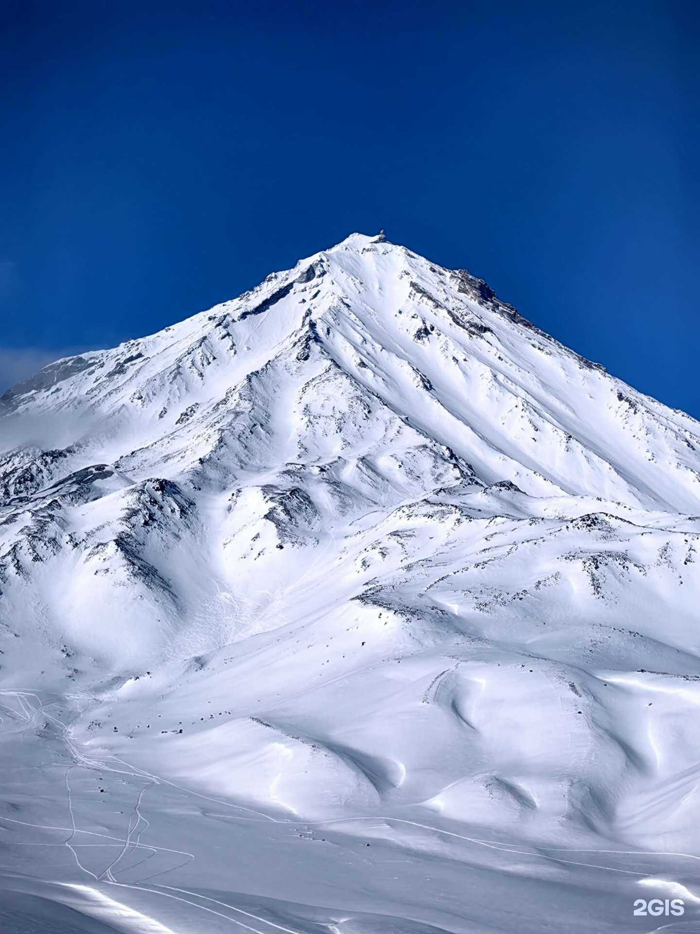 Отзывы на компанию Мишка-Тур в Петропавловске-Камчатском c фото