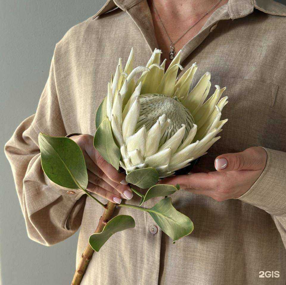 Отзывы на компанию Амур в Рязани c фото