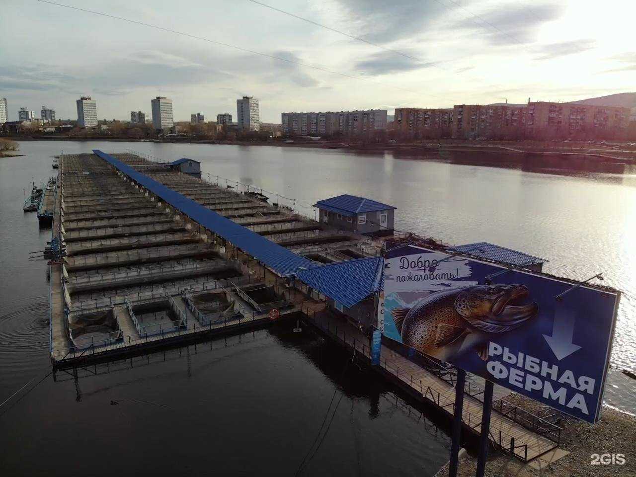 Отзывы на компанию Руслов в Красноярске c фото