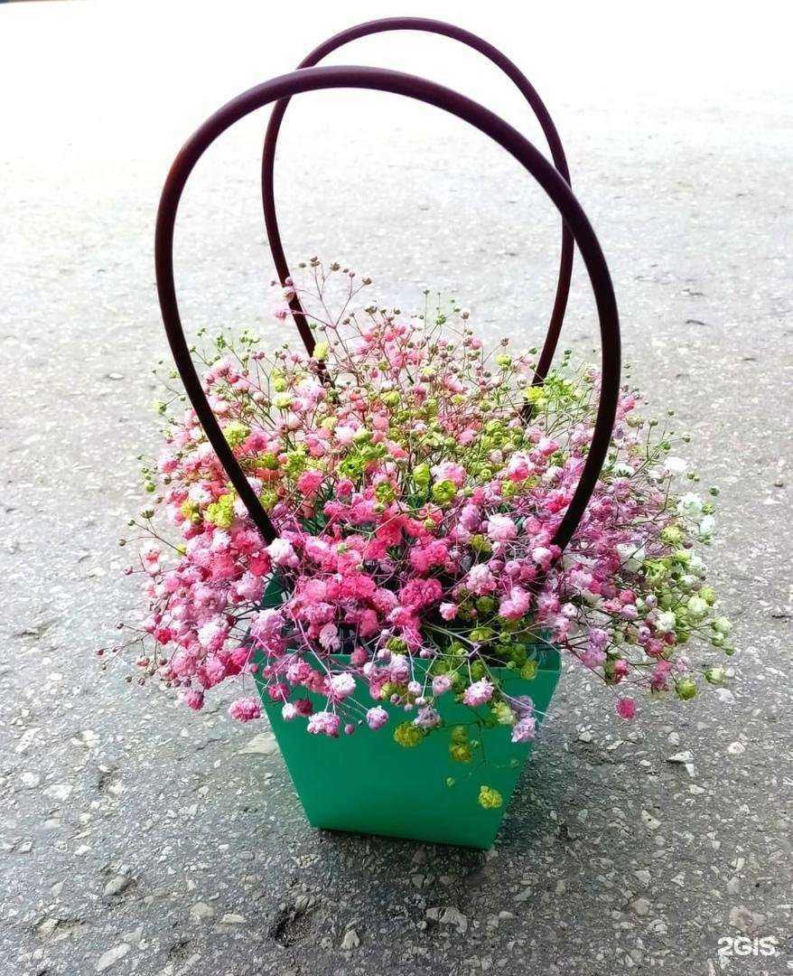 Отзывы на компанию Цветопад в г. Новокуйбышевск c фото