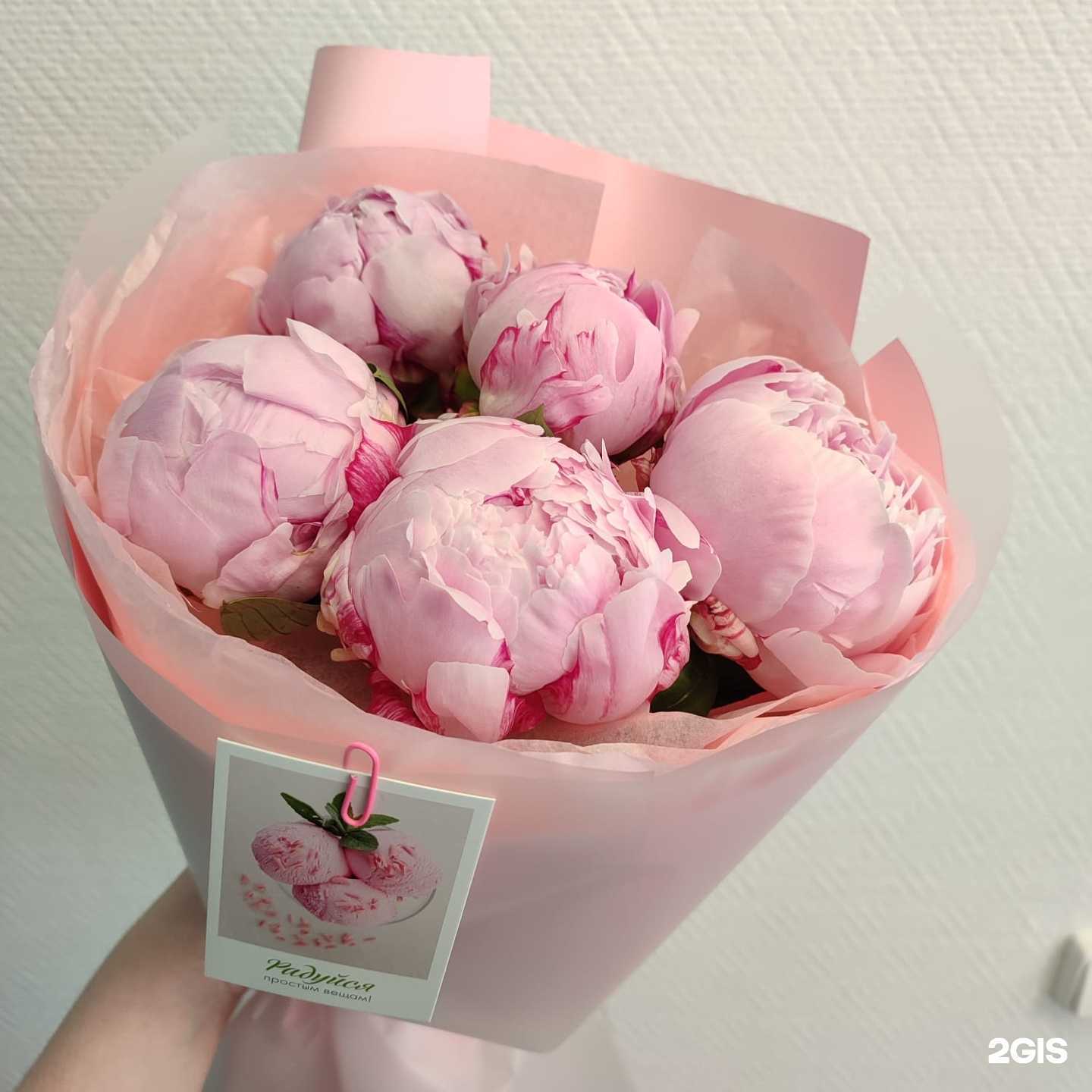 Отзывы на компанию Botva в г. Екатеринбург c фото