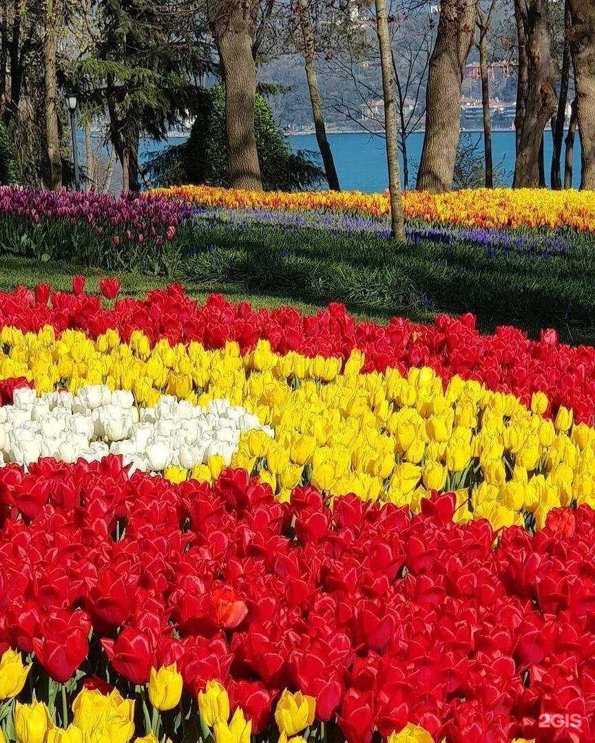 Отзывы на компанию Премьер-Тур в г. Астрахань c фото