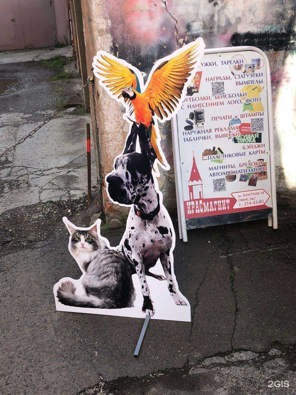 Отзывы на компанию Бегстрока24 в г. Красноярск c фото