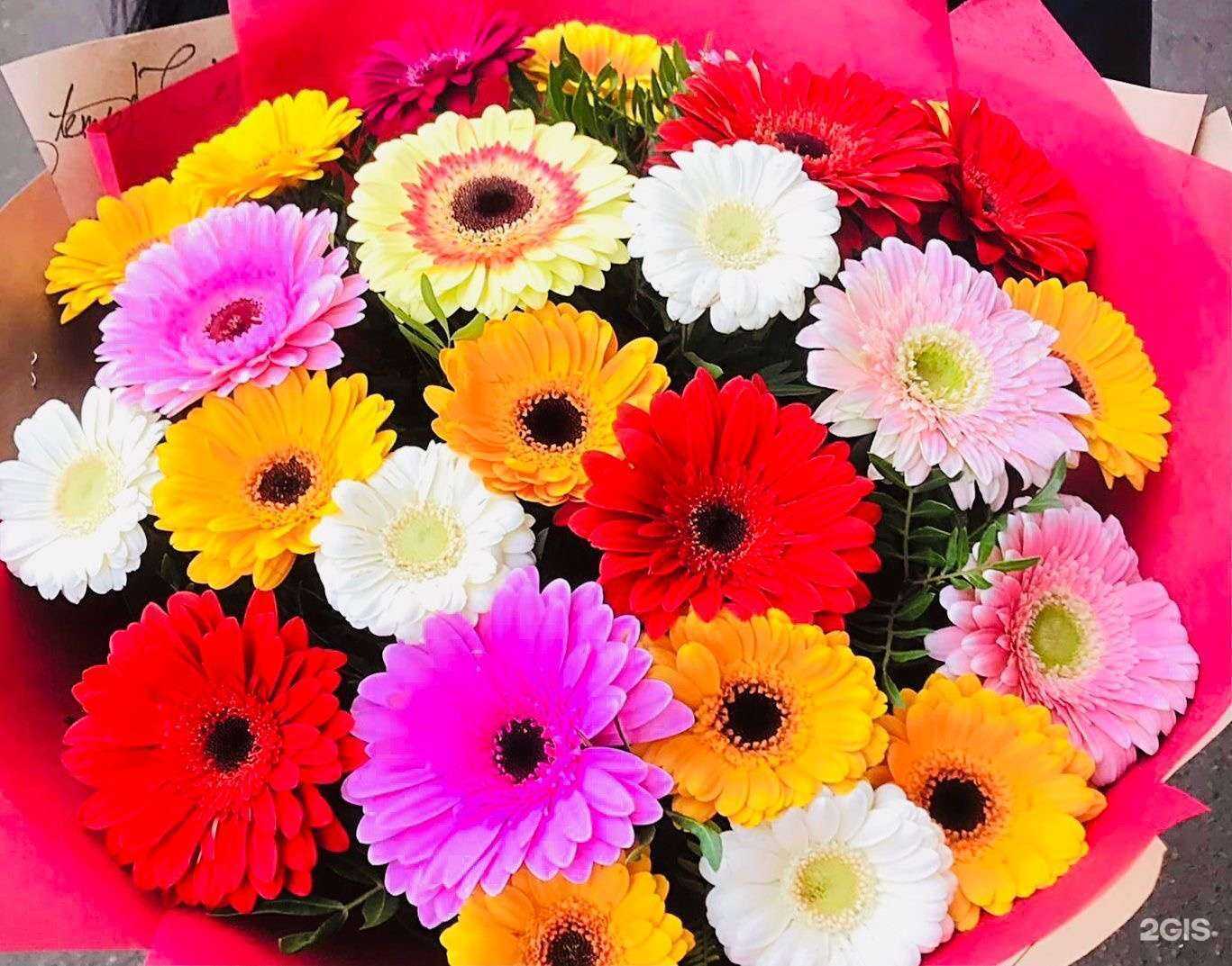 Отзывы на компанию РозаЛия в Екатеринбурге c фото