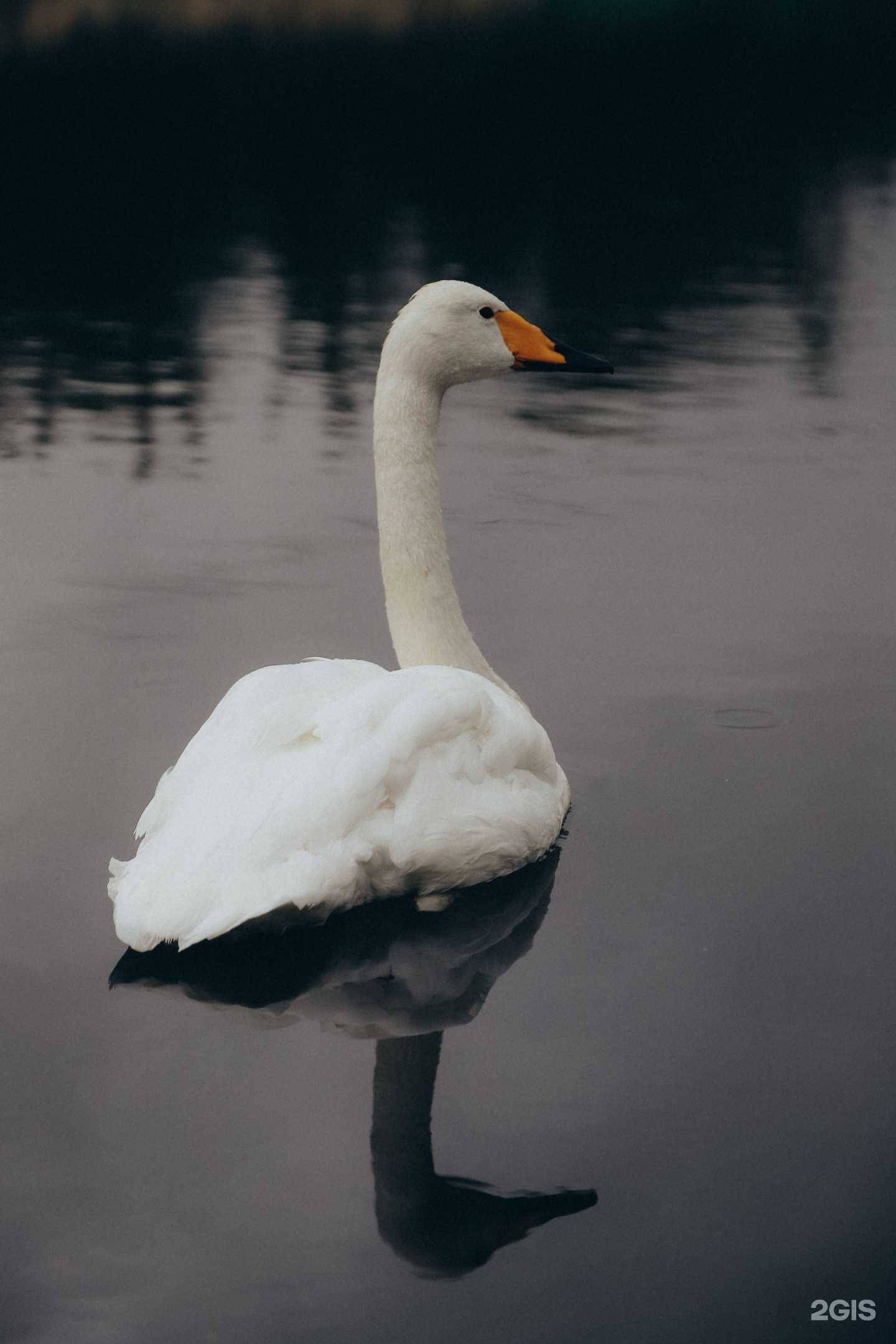 Отзывы на компанию Урарту в Тюмени c фото - фотография 2 из 2