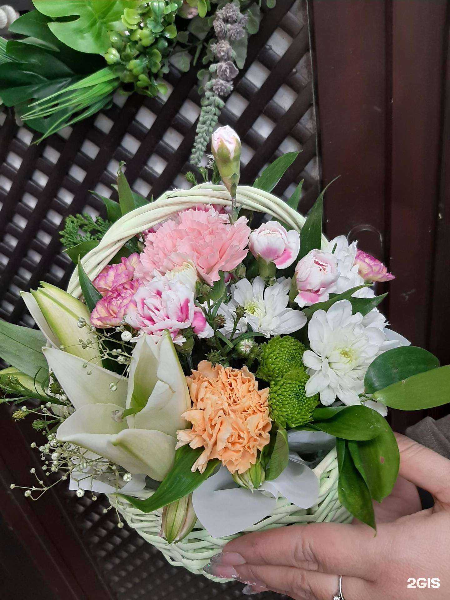 Отзывы на компанию Крона в Красноярске c фото