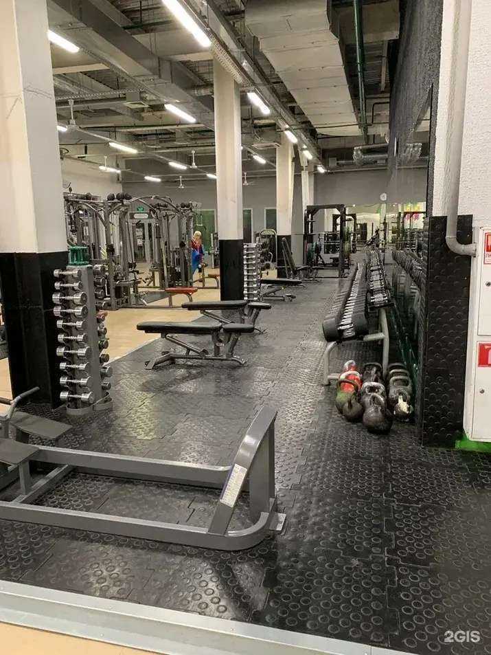 Отзывы на компанию ALEX FITNESS в Пензе c фото