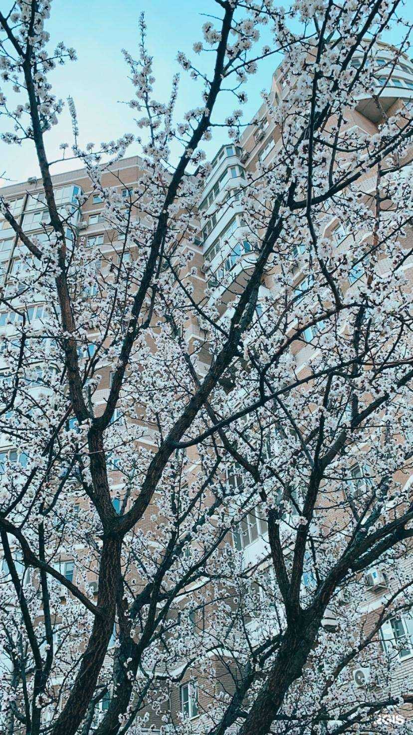 Отзывы на компанию Аптека в Ростове-на-Дону c фото - фотография 2 из 2