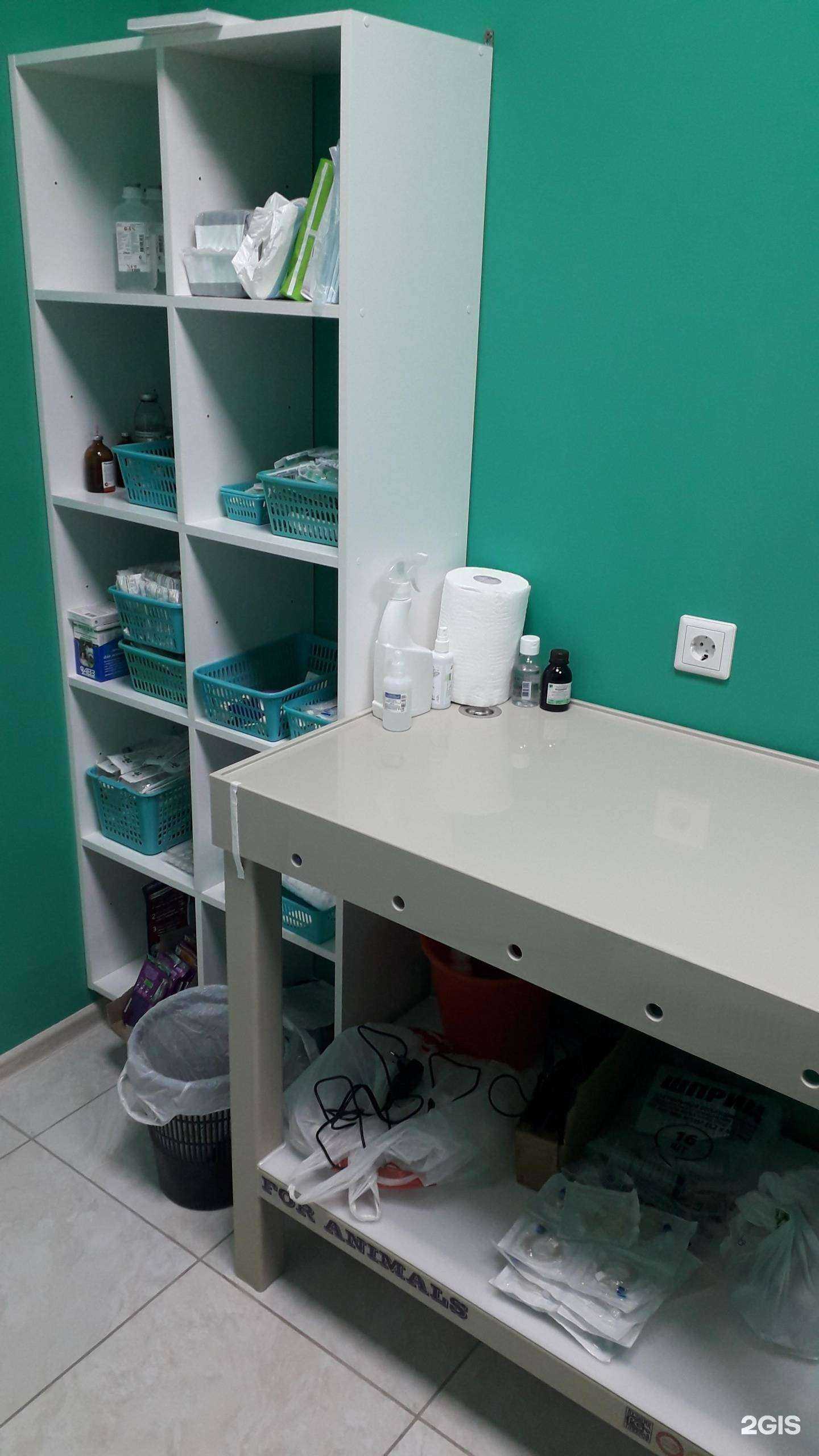 Отзывы на компанию НОВОВЕТ в Новокузнецке c фото