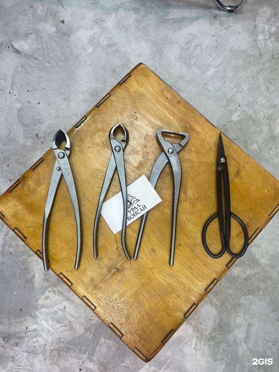 Отзывы на компанию Урал Бонсай в Екатеринбурге c фото