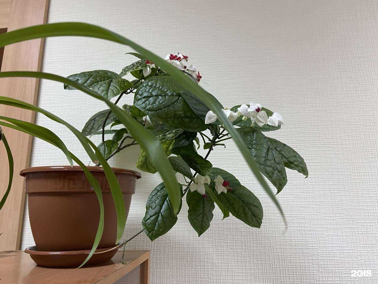 Отзывы на компанию Выход Есть в г. Омск c фото