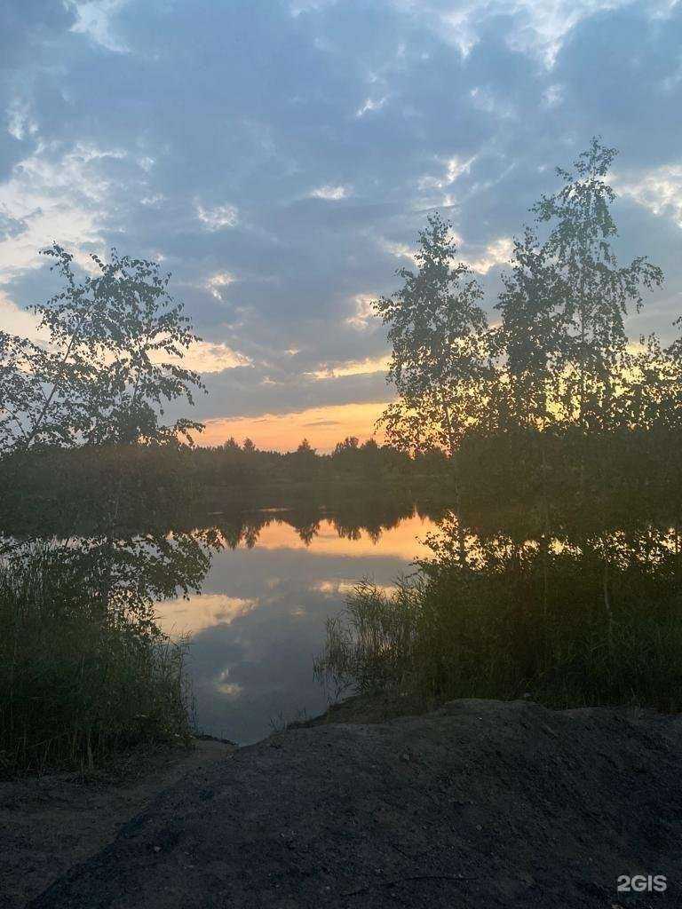 Отзывы на компанию Детская школа искусств №4 в г. Тула c фото