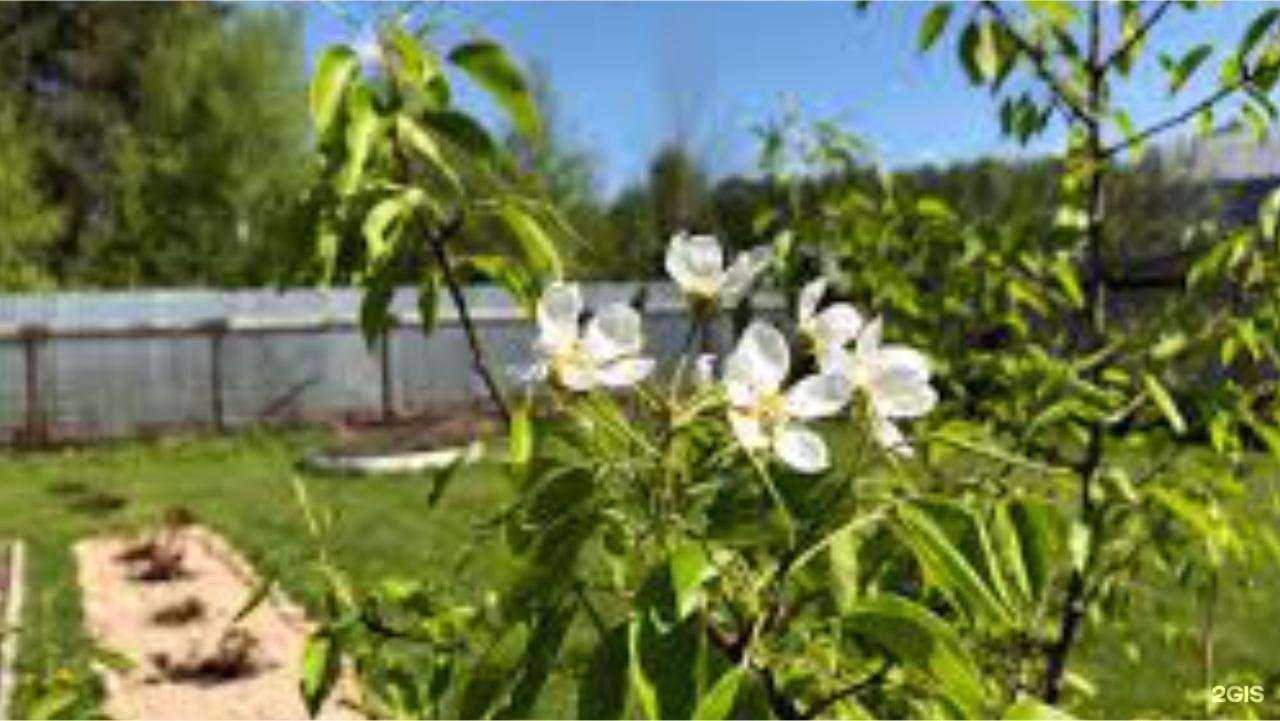 Отзывы на компанию Компания по продаже навоза, перегноя и торфа в Кирове c фото