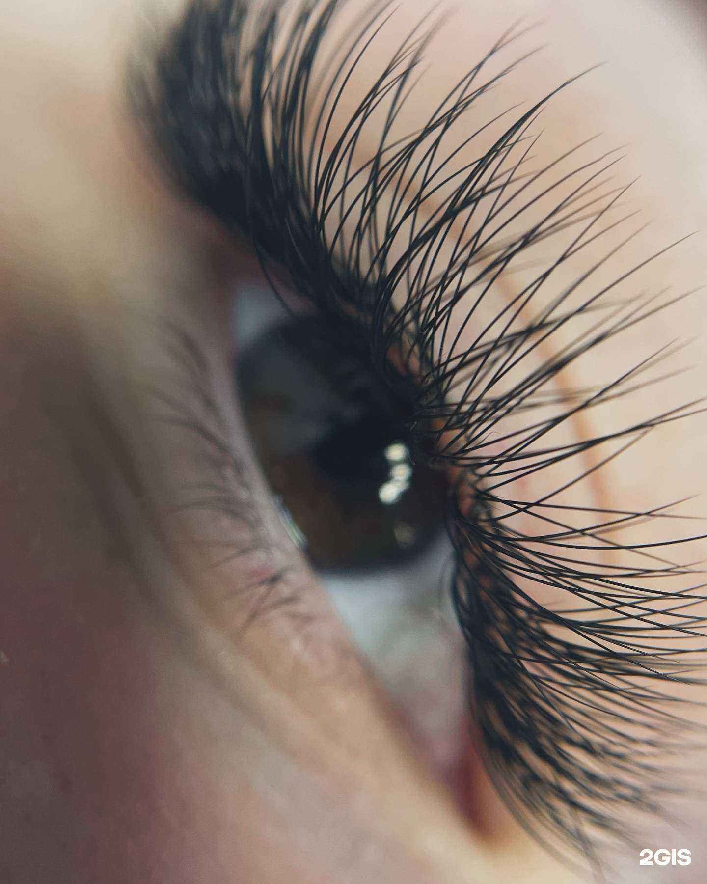 Отзывы на компанию tsareva_lashmaker38 в г. Иркутск c фото