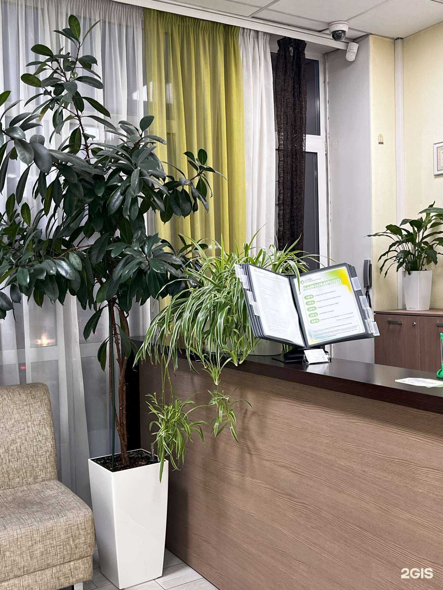 Отзывы на компанию Voxel в Томске c фото