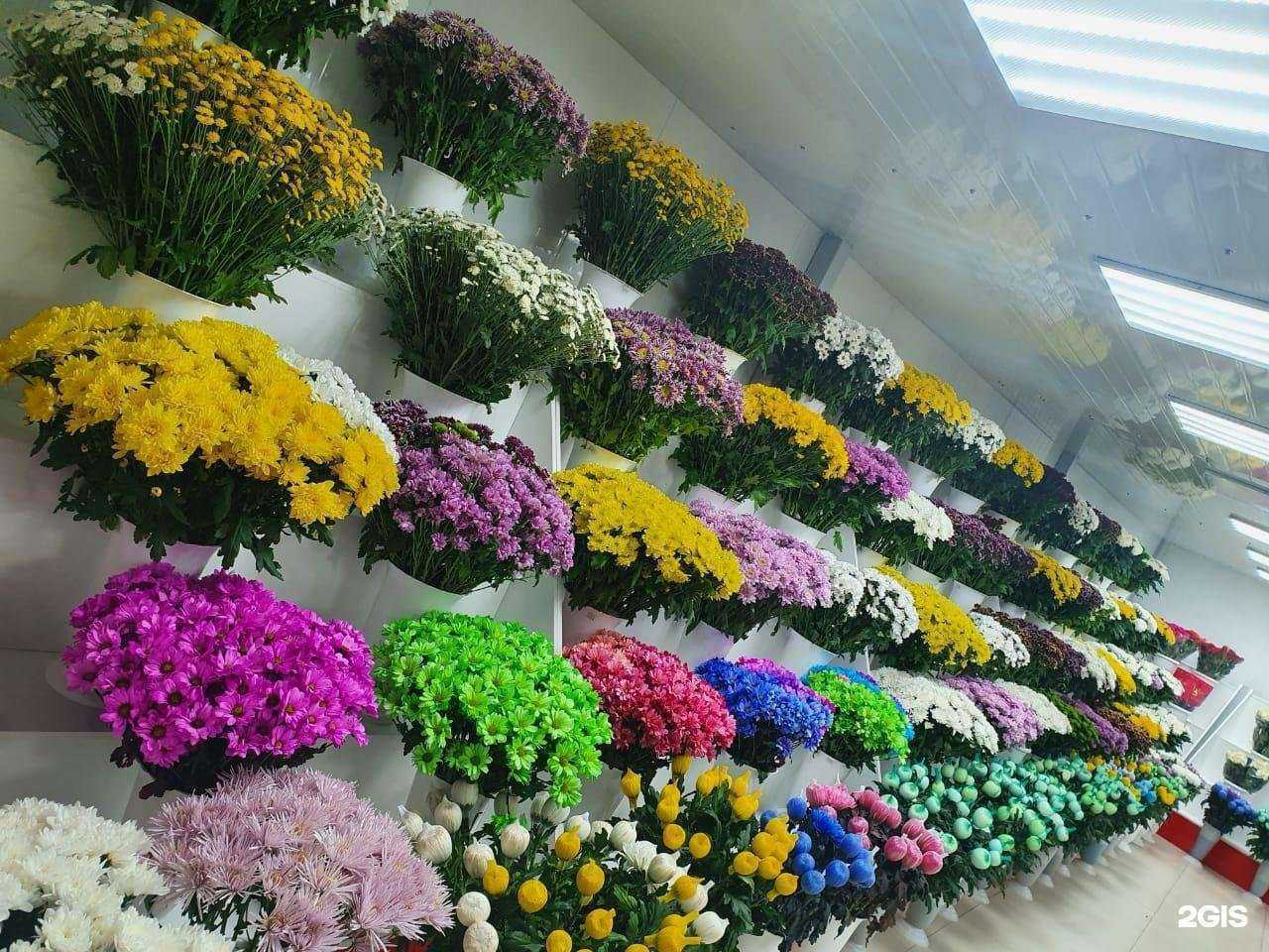 Отзывы на компанию Azeriflores в г. Владивосток c фото