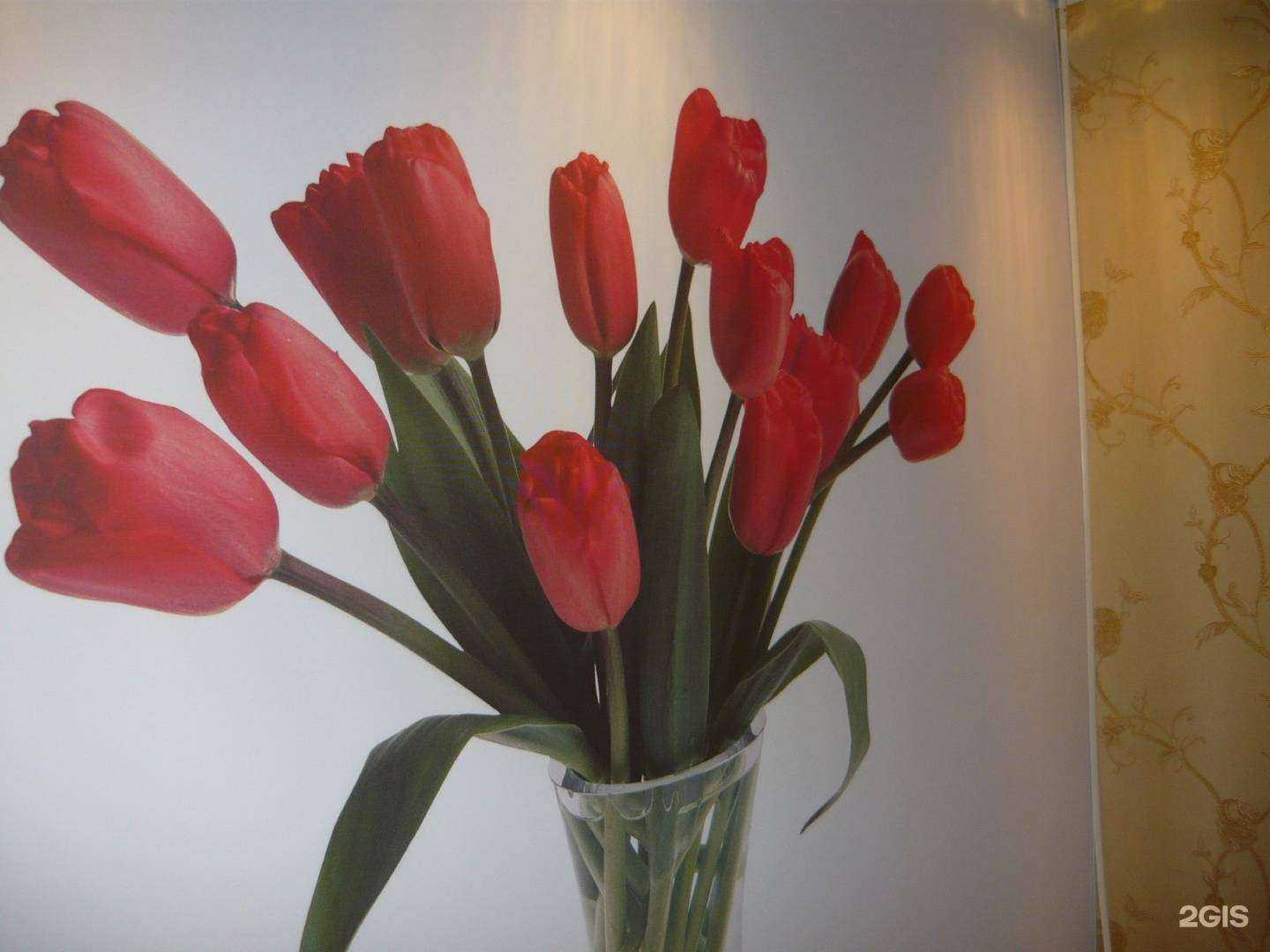 Отзывы на компанию Парус в г. Стерлитамак c фото